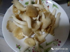 欧洲摩托车(欧洲摩托车品牌大全),第2张 欧洲摩托车(欧洲摩托车品牌大全),欧洲摩托车(欧洲摩托车品牌大全),第2张