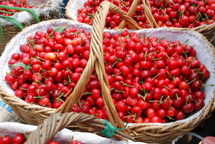 第六代（第六代导演）,第六代（第六代导演）,第3张