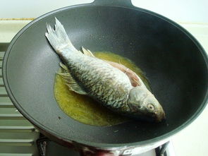 鄂尔多斯二手车(鄂尔多斯二手车落户政策),第3张 鄂尔多斯二手车(鄂尔多斯二手车落户政策),鄂尔多斯二手车(鄂尔多斯二手车落户政策),第3张