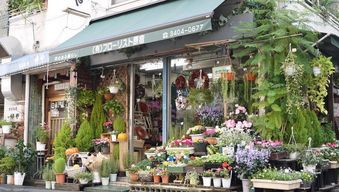 花店装修(花店装修设计效果图),第2张 花店装修(花店装修设计效果图),花店装修(花店装修设计效果图),第2张