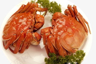 欢颜床垫(欢颜床垫和大自然床垫哪个更好),第2张 欢颜床垫(欢颜床垫和大自然床垫哪个更好),欢颜床垫(欢颜床垫和大自然床垫哪个更好),第2张