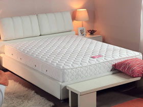 席梦思靠前品牌(靠前席梦思品牌),第1张 席梦思靠前品牌(靠前席梦思品牌),席梦思靠前品牌(靠前席梦思品牌),第1张