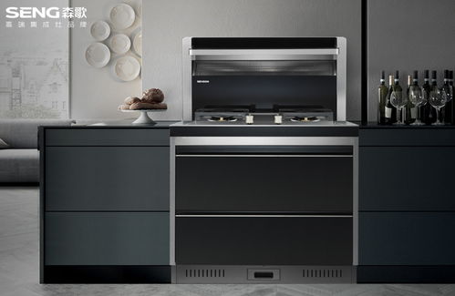 亿田消毒柜（亿田消毒柜集成灶COCA怎么样）,亿田消毒柜（亿田消毒柜集成灶COCA怎么样）,第3张