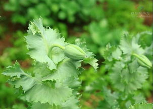 外墙漏水(外墙漏水是物业维修还是业主维修),第3张 外墙漏水(外墙漏水是物业维修还是业主维修),外墙漏水(外墙漏水是物业维修还是业主维修),第3张