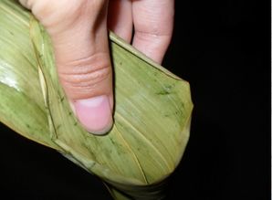 粽子怎么画(迷你粽子怎么画),第1张 粽子怎么画(迷你粽子怎么画),粽子怎么画(迷你粽子怎么画),第1张