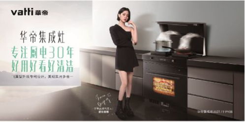 华帝集成橱柜(华帝集成灶上市啦),第3张 华帝集成橱柜(华帝集成灶上市啦),华帝集成橱柜(华帝集成灶上市啦),第3张