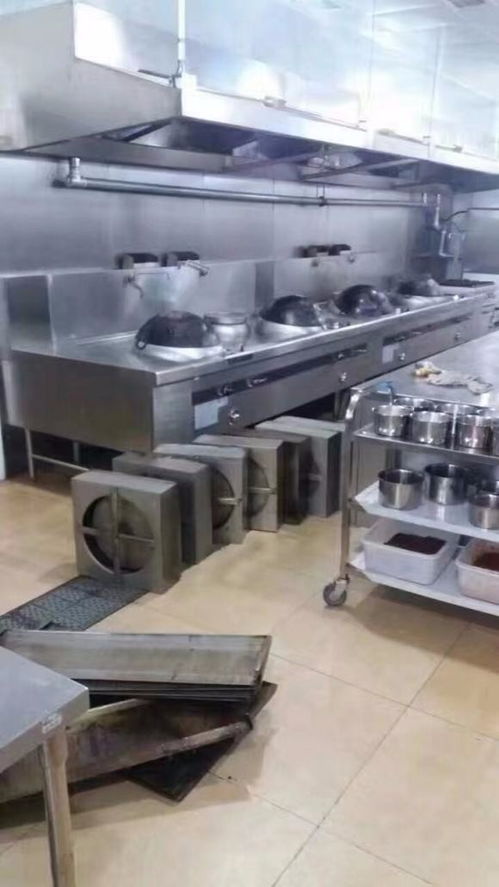 吸油烟机清洗(油烟机清洗报告模板),第3张 吸油烟机清洗(油烟机清洗报告模板),吸油烟机清洗(油烟机清洗报告模板),第3张