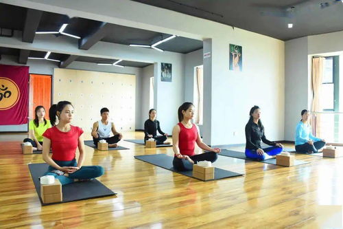 瑜伽老师培训多少钱的简单介绍,瑜伽老师培训多少钱的简单介绍,第1张