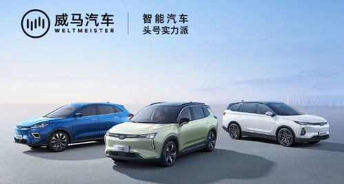 吉利汽车起诉威马(威马汽车 吉利),第2张 吉利汽车起诉威马(威马汽车 吉利),吉利汽车起诉威马(威马汽车 吉利),第2张