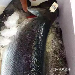 鲜大马哈鱼的做法大全(鲜大马哈鱼怎么做好吃),第1张 鲜大马哈鱼的做法大全(鲜大马哈鱼怎么做好吃),鲜大马哈鱼的做法大全(鲜大马哈鱼怎么做好吃),第1张