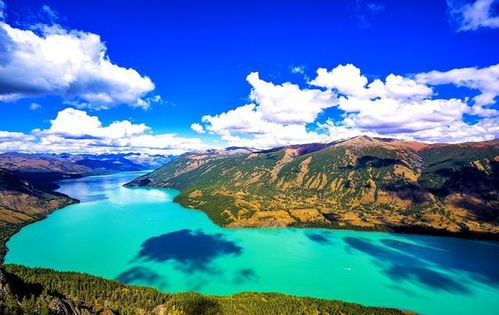 薰衣草产地(薰衣草产地排名),第1张 薰衣草产地(薰衣草产地排名),薰衣草产地(薰衣草产地排名),第1张