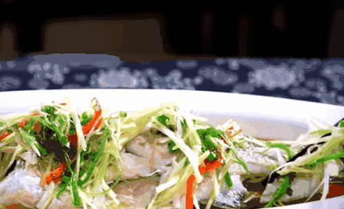 办公装修:爱情的盛宴:用花卉烘托浪漫,第1张 办公装修:爱情的盛宴:用花卉烘托浪漫,办公装修:爱情的盛宴:用花卉烘托浪漫,第1张