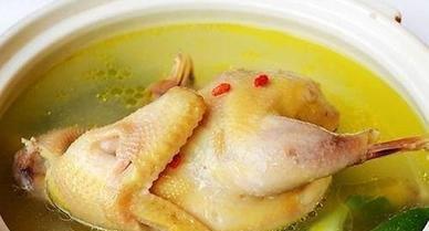 营养鸽子汤的做法(四种人不宜喝鸽子汤),第3张 营养鸽子汤的做法(四种人不宜喝鸽子汤),营养鸽子汤的做法(四种人不宜喝鸽子汤),第3张