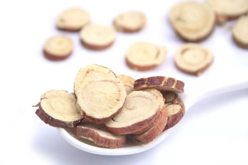 茯神的功效与作用及食用方法（茯神的功效与作用及食用方法用量）,茯神的功效与作用及食用方法（茯神的功效与作用及食用方法用量）,第2张