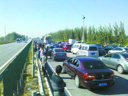 广州车迷网（广州车友吧）,广州车迷网（广州车友吧）,第1张