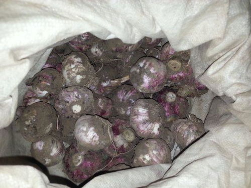 嘉宝莉乳胶漆价格(嘉宝莉乳胶漆小清新多少钱),第3张 嘉宝莉乳胶漆价格(嘉宝莉乳胶漆小清新多少钱),嘉宝莉乳胶漆价格(嘉宝莉乳胶漆小清新多少钱),第3张