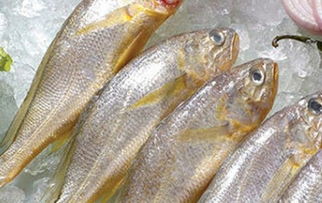 座椅调节器(汽车座椅调节器),第1张 座椅调节器(汽车座椅调节器),座椅调节器(汽车座椅调节器),第1张