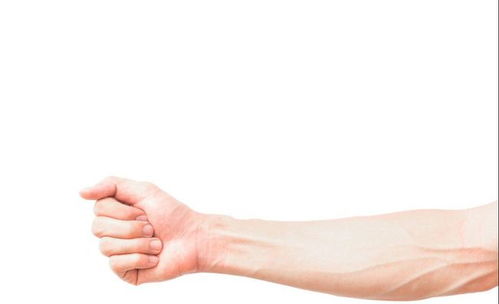 皮蛋是什么蛋（皮蛋是什么蛋变的）,皮蛋是什么蛋（皮蛋是什么蛋变的）,第2张