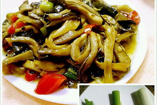 信用卡贷款买车(信用卡贷款买车需要抵押绿本吗),第1张 信用卡贷款买车(信用卡贷款买车需要抵押绿本吗),信用卡贷款买车(信用卡贷款买车需要抵押绿本吗),第1张