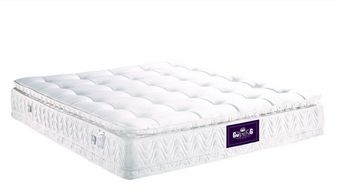 中国靠前品牌床垫(中国靠前品牌床垫儿),第1张 中国靠前品牌床垫(中国靠前品牌床垫儿),中国靠前品牌床垫(中国靠前品牌床垫儿),第1张