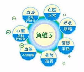 室内装修污染处理(装修污染的治理措施),第3张 室内装修污染处理(装修污染的治理措施),室内装修污染处理(装修污染的治理措施),第3张