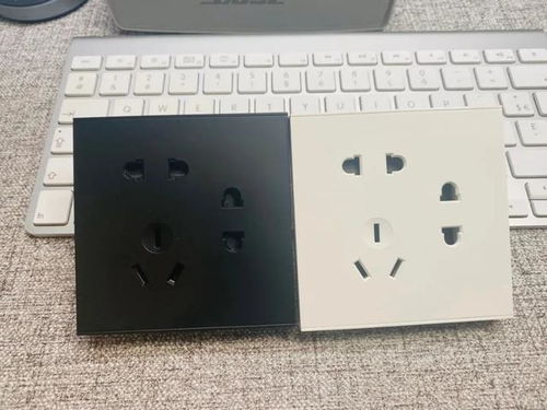 上海写字楼设计:饲养巴西龟需要注意的饮食细节,第1张 上海写字楼设计:饲养巴西龟需要注意的饮食细节,上海写字楼设计:饲养巴西龟需要注意的饮食细节,第1张