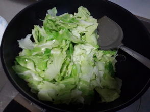 手撕圆白菜的家常做法(手撕洋白菜正宗做法),第3张 手撕圆白菜的家常做法(手撕洋白菜正宗做法),手撕圆白菜的家常做法(手撕洋白菜正宗做法),第3张