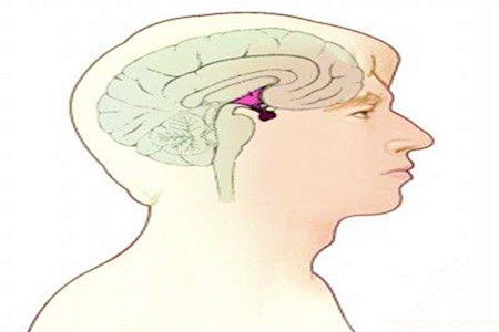 地面装修(地面装修步骤),第2张 地面装修(地面装修步骤),地面装修(地面装修步骤),第2张