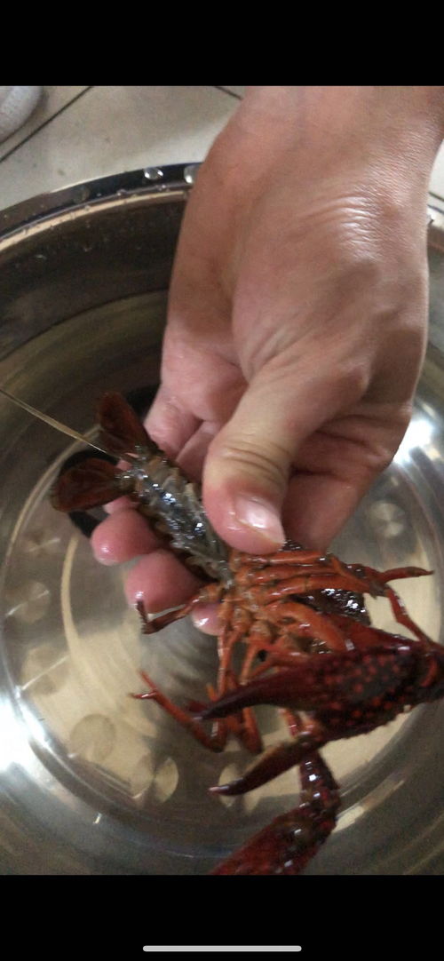 办公室装修报价:北方的绿洲:东亚奥北中心北区的建设与发展,第1张 办公室装修报价:北方的绿洲:东亚奥北中心北区的建设与发展,办公室装修报价:北方的绿洲:东亚奥北中心北区的建设与发展,第1张