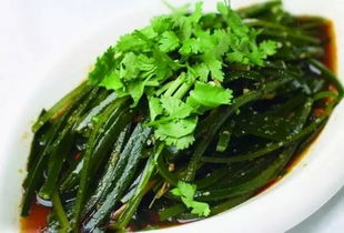 凉拌海带丝怎么做(凉拌海带丝怎么做好吃 做法步窍门),第1张 凉拌海带丝怎么做(凉拌海带丝怎么做好吃 做法步窍门),凉拌海带丝怎么做(凉拌海带丝怎么做好吃 做法步窍门),第1张