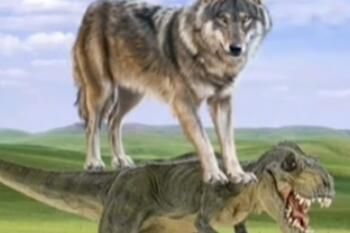 凯悦装饰(凯悦实业有限公司),第1张 凯悦装饰(凯悦实业有限公司),凯悦装饰(凯悦实业有限公司),第1张