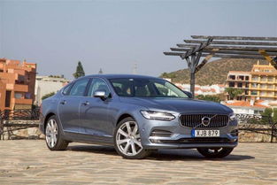 帝王蟹价格(鲜活帝王蟹价格),第3张 帝王蟹价格(鲜活帝王蟹价格),帝王蟹价格(鲜活帝王蟹价格),第3张