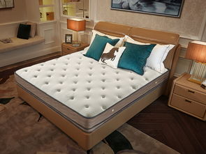 中国靠前品牌床垫(中国靠前品牌床垫儿),第2张 中国靠前品牌床垫(中国靠前品牌床垫儿),中国靠前品牌床垫(中国靠前品牌床垫儿),第2张