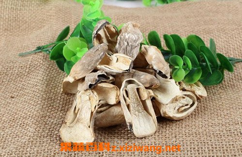 双孢菇的功效与作用(竹菇菌的功效与作用),第2张 双孢菇的功效与作用(竹菇菌的功效与作用),双孢菇的功效与作用(竹菇菌的功效与作用),第2张