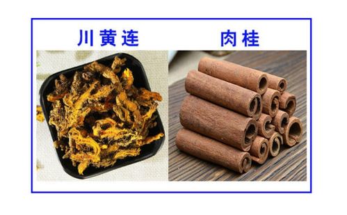 上海办公室装饰:液压系统中的关键元件——阀门分类详解,第3张 上海办公室装饰:液压系统中的关键元件——阀门分类详解,上海办公室装饰:液压系统中的关键元件——阀门分类详解,第3张
