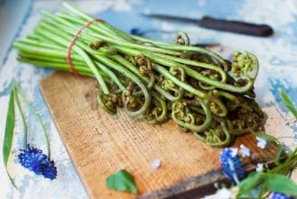 虫草花孕妇可以吃吗(虫草花孕妇可以吃吗早期可以吃吗),第1张 虫草花孕妇可以吃吗(虫草花孕妇可以吃吗早期可以吃吗),虫草花孕妇可以吃吗(虫草花孕妇可以吃吗早期可以吃吗),第1张