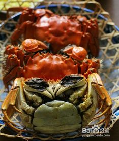 螃蟹怎么保存方法(蒸好螃蟹怎么保存方法),第3张 螃蟹怎么保存方法(蒸好螃蟹怎么保存方法),螃蟹怎么保存方法(蒸好螃蟹怎么保存方法),第3张