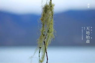 kuga（枯干的意思）,kuga（枯干的意思）,第1张