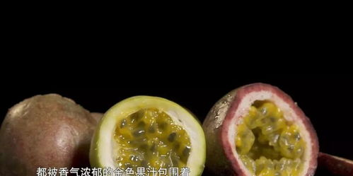 女性吃葡萄有什么好处(最补眼睛的五种水果),第2张 女性吃葡萄有什么好处(最补眼睛的五种水果),女性吃葡萄有什么好处(最补眼睛的五种水果),第2张