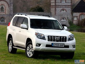 prado普拉多(prado普拉多是霸道吗),第3张 prado普拉多(prado普拉多是霸道吗),prado普拉多(prado普拉多是霸道吗),第3张