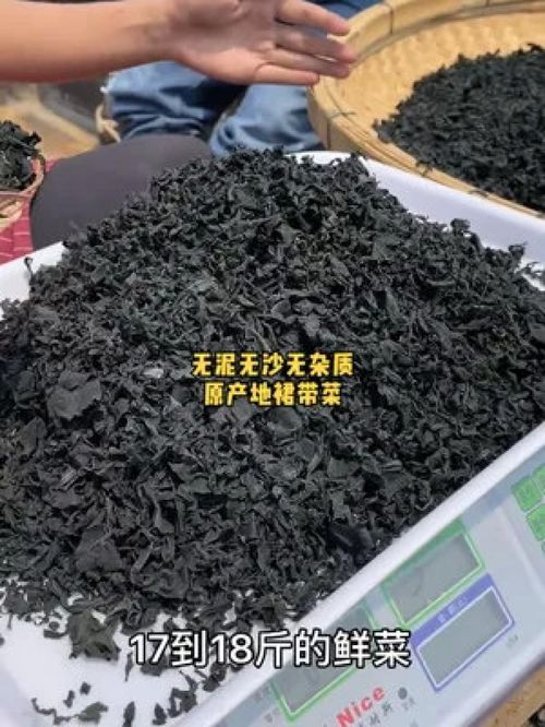 小户型装修公司(小户型装修公司推荐),第3张 小户型装修公司(小户型装修公司推荐),小户型装修公司(小户型装修公司推荐),第3张