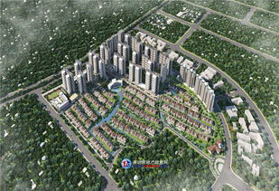 长春藤漆（长春藤效果）,长春藤漆（长春藤效果）,第2张