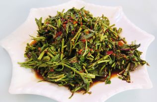 凉拌香椿的做法(凉拌香椿做法 春天),第2张 凉拌香椿的做法(凉拌香椿做法 春天),凉拌香椿的做法(凉拌香椿做法 春天),第2张