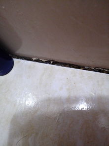 洗脚木盆(洗脚木盆裂缝漏水怎么修复),第1张 洗脚木盆(洗脚木盆裂缝漏水怎么修复),洗脚木盆(洗脚木盆裂缝漏水怎么修复),第1张