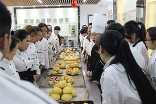 长帝烤箱怎么样（长帝烤箱功能选择图解）,长帝烤箱怎么样（长帝烤箱功能选择图解）,第1张