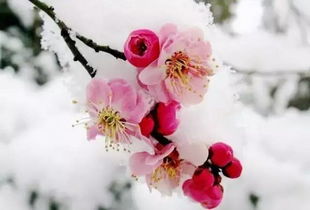 suv汽车排行榜(女款suv汽车排行榜),第2张 suv汽车排行榜(女款suv汽车排行榜),suv汽车排行榜(女款suv汽车排行榜),第2张