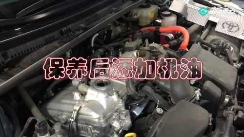 厕所装修效果图（卫生间效果图装修效果图）,厕所装修效果图（卫生间效果图装修效果图）,第2张