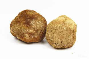 办公楼装饰:如何用科技让理发更便捷?,第2张 办公楼装饰:如何用科技让理发更便捷?,办公楼装饰:如何用科技让理发更便捷?,第2张