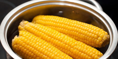 煮玉米的正确方法(煮玉米的正确方法,这样煮才好吃),第2张 煮玉米的正确方法(煮玉米的正确方法,这样煮才好吃),煮玉米的正确方法(煮玉米的正确方法,这样煮才好吃),第2张