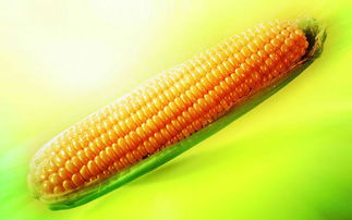 爱空间瓷砖(运动地板铺装工艺),第2张 爱空间瓷砖(运动地板铺装工艺),爱空间瓷砖(运动地板铺装工艺),第2张